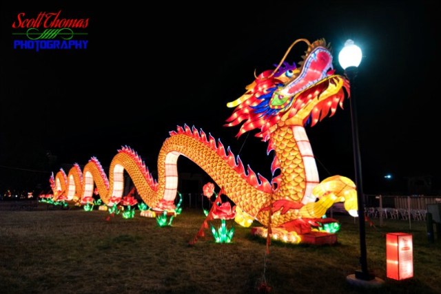 New York State Chinese Lantern Festival Dragon