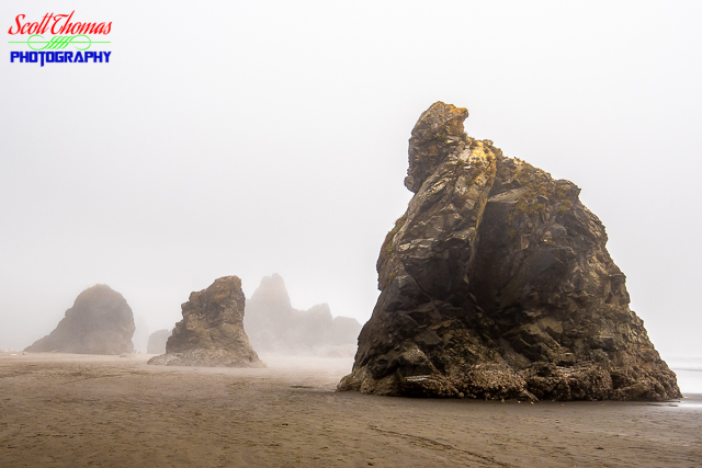 Ruby Beach Sea Stacks