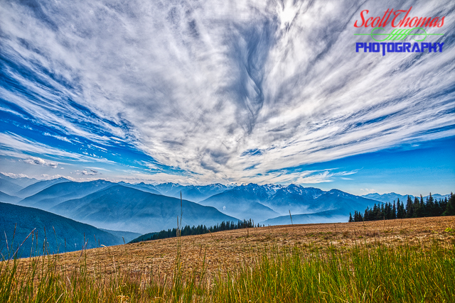 Olympic Mountain Range