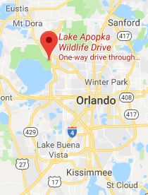 Lake Apopka Wildlife Drive Location
