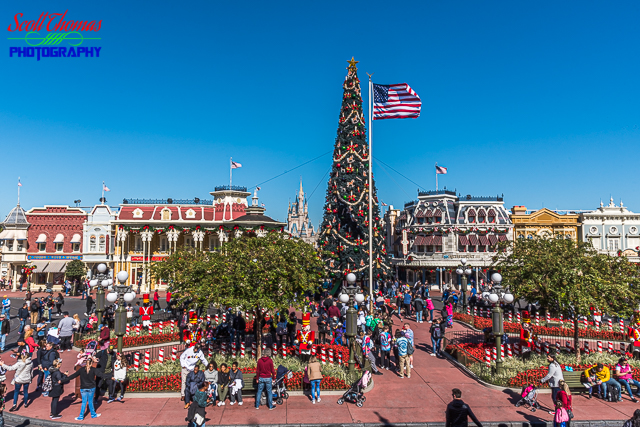 Magic Kingdom Christmas Tree