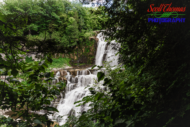 Chittenango Falls viewed through the trees from the Gorge Trail